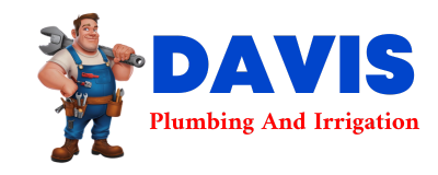 Trusted plumber in CASS LAKE